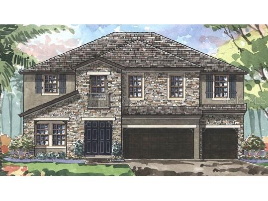 8775 White Sage Way Land O Lakes FL 34637 T3320324 image1