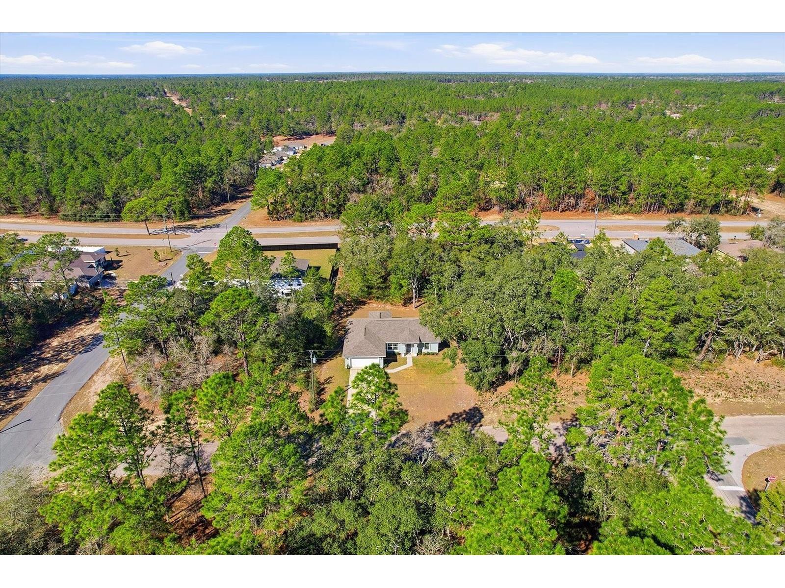 8776 N Athens Drive Citrus Springs FL 34433 TB8472416 image42