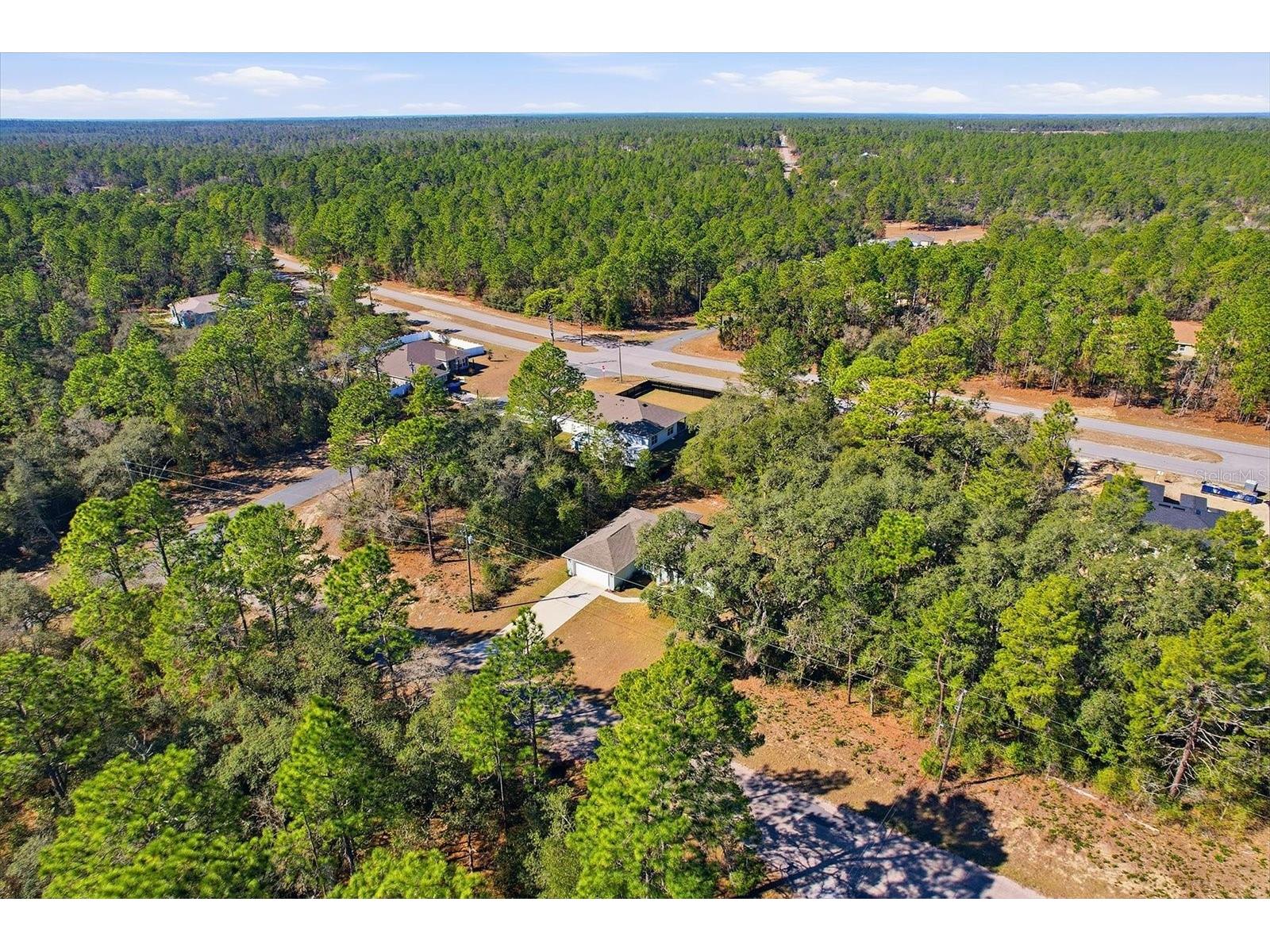 8776 N Athens Drive Citrus Springs FL 34433 TB8472416 image43