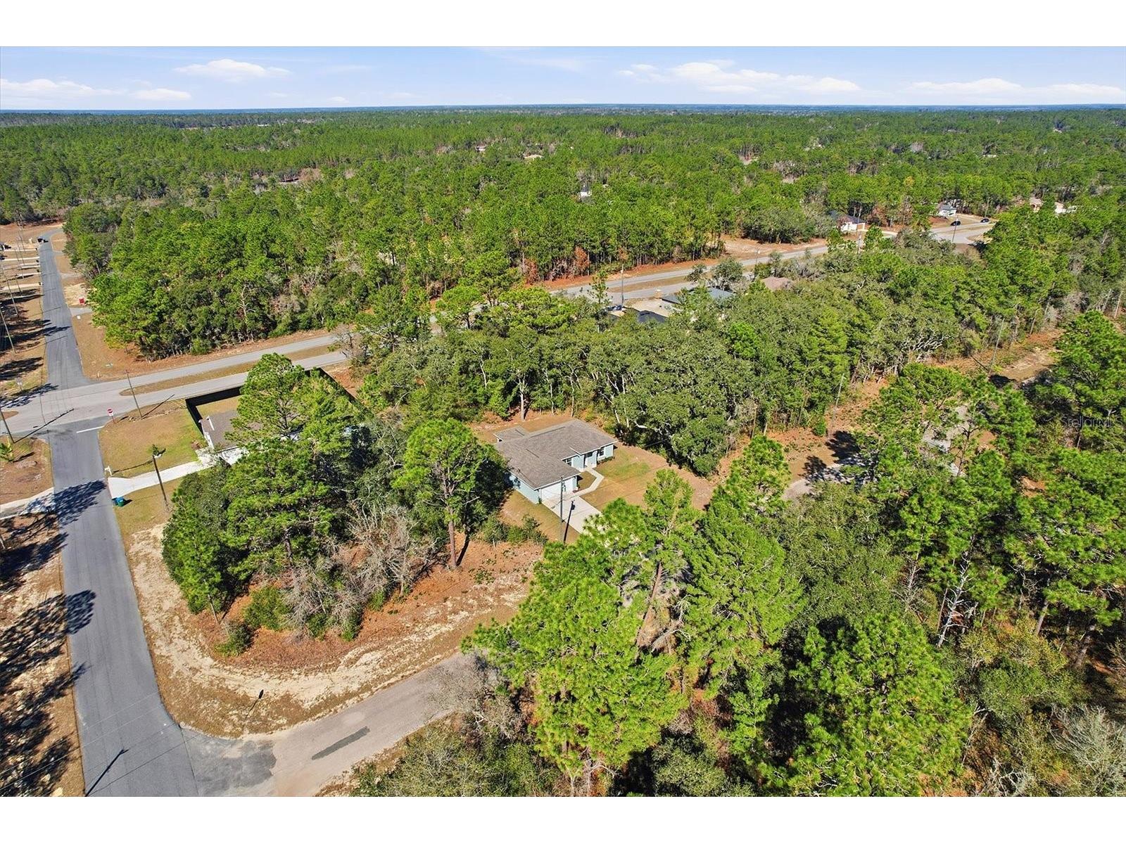 8776 N Athens Drive Citrus Springs FL 34433 TB8472416 image44