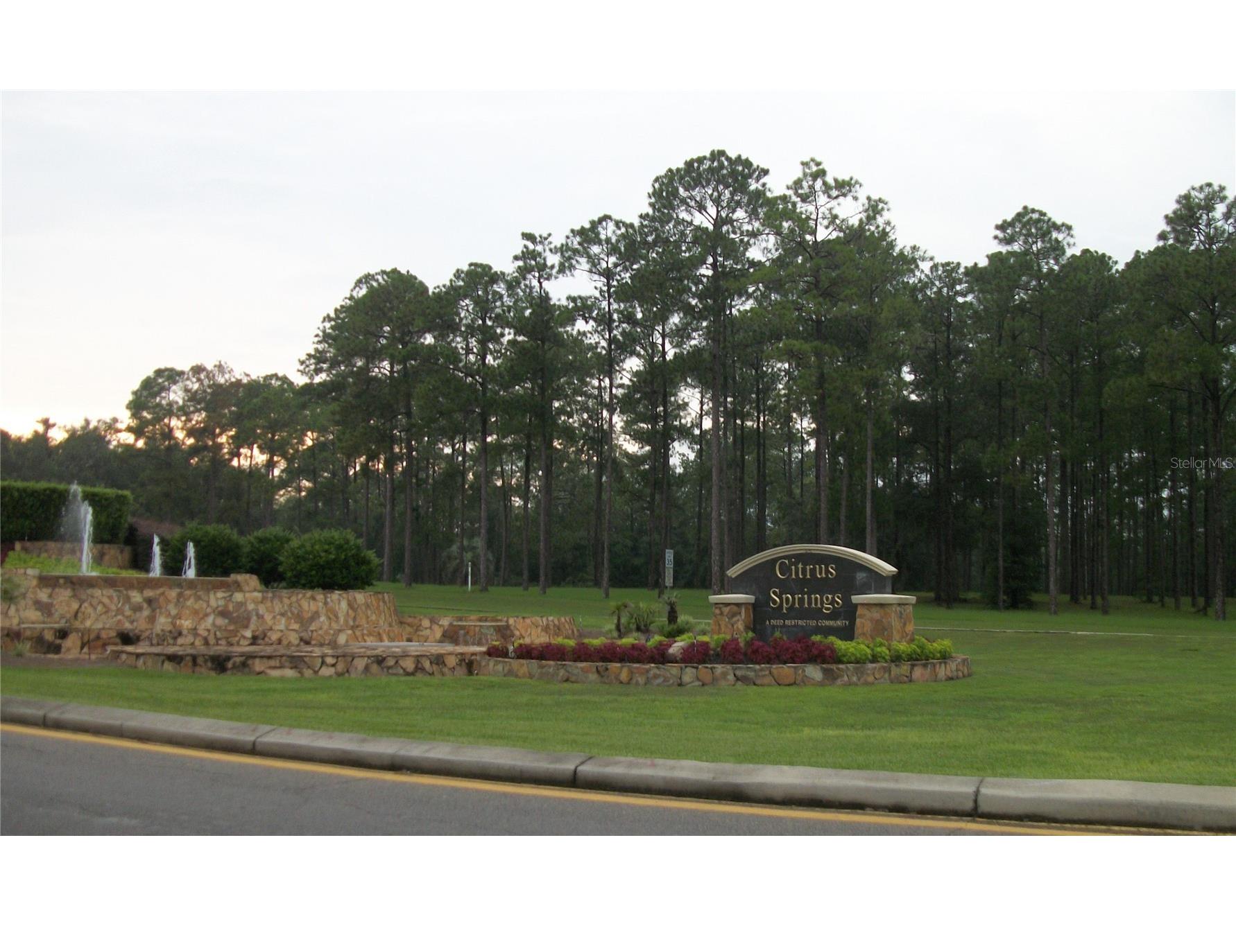 8776 N Athens Drive Citrus Springs FL 34433 TB8472416 image46