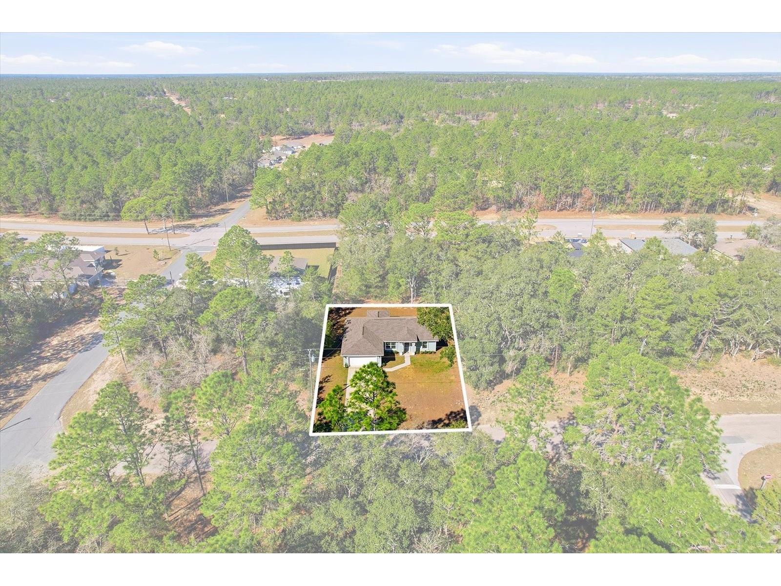 8776 N Athens Drive Citrus Springs FL 34433 TB8472416 image7