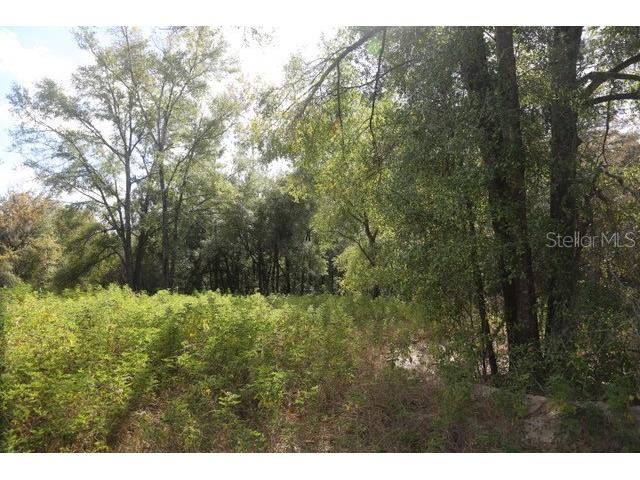 8776 SW 139th Place Road Ocala FL 34473 OM713137 image1