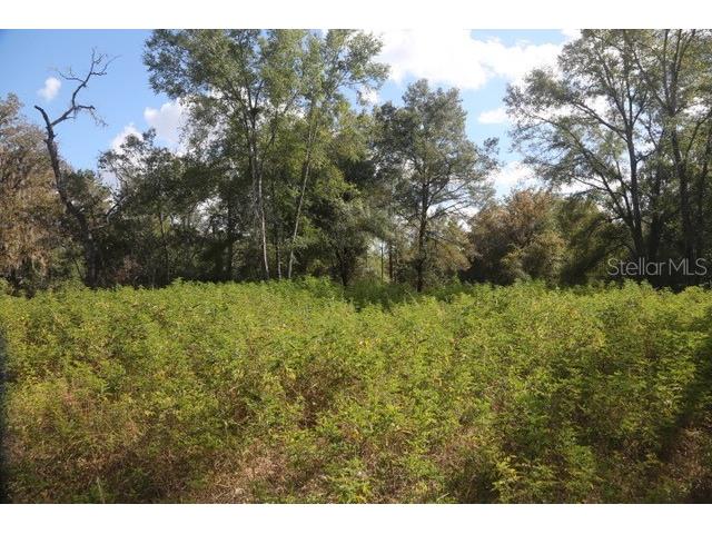 8776 SW 139th Place Road Ocala FL 34473 OM713137 image2