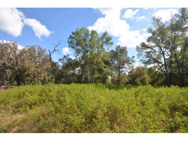 8776 SW 139th Place Road Ocala FL 34473 OM713137 image3