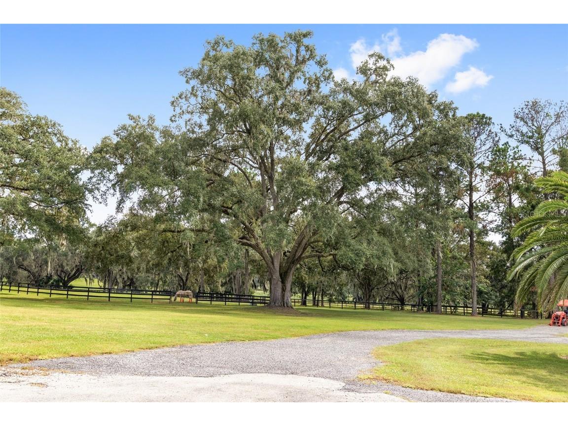 8778 NW 130th Street Reddick FL 32686 OM711630 image86