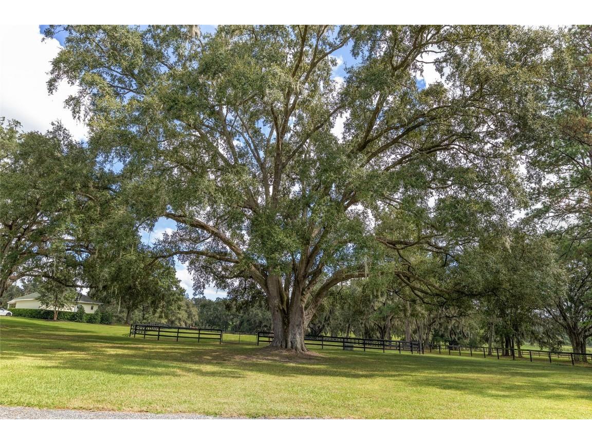 8778 NW 130th Street Reddick FL 32686 OM711630 image87