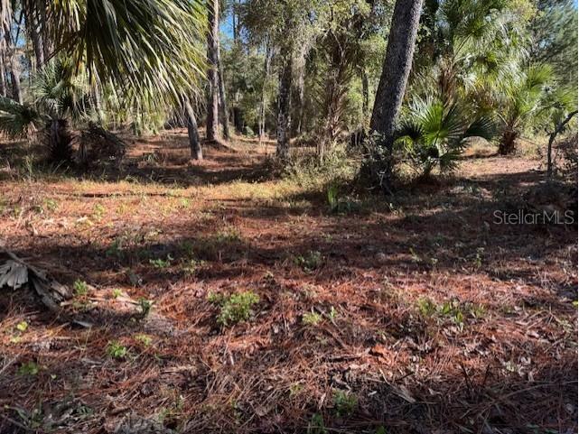 8779 N Ramble Point #17 Citrus Springs FL 34434 OM692283 image1