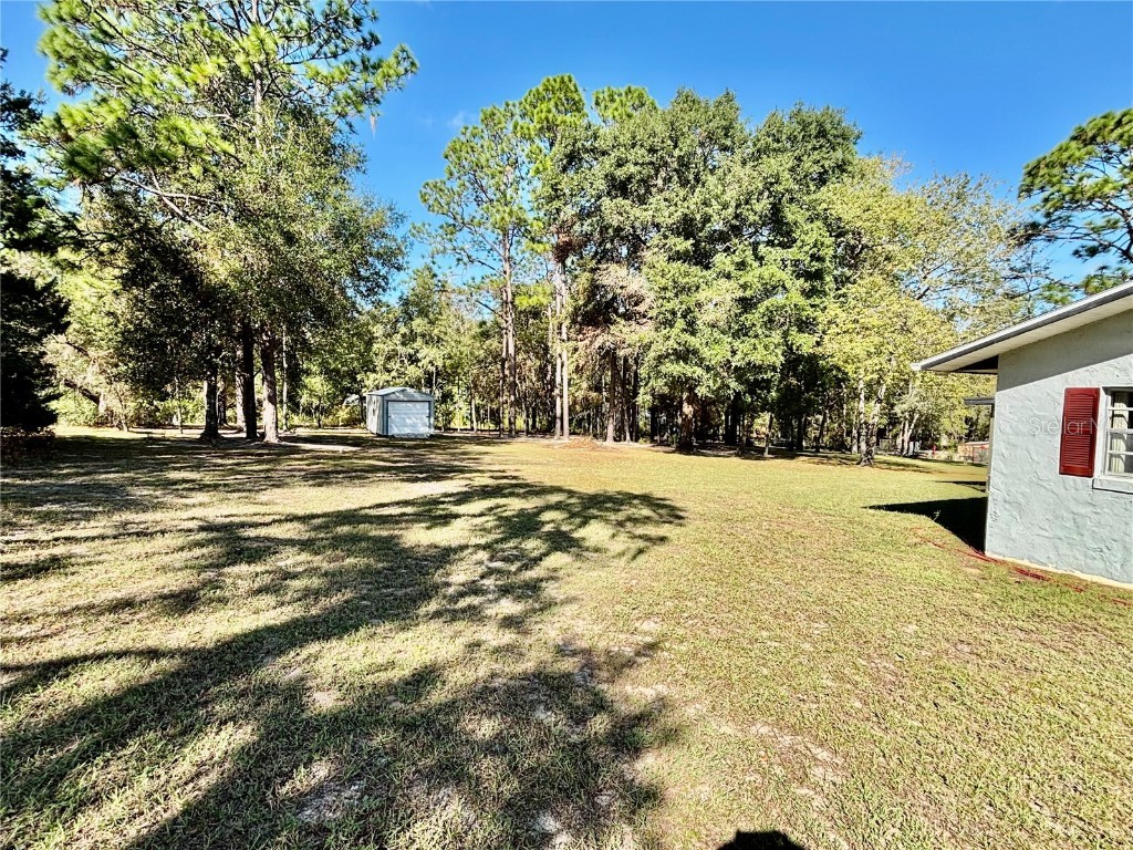 8780 SW 209 Court Road Dunnellon FL 34431 - RAINBOW SPRINGS RIVER OM712531 image17