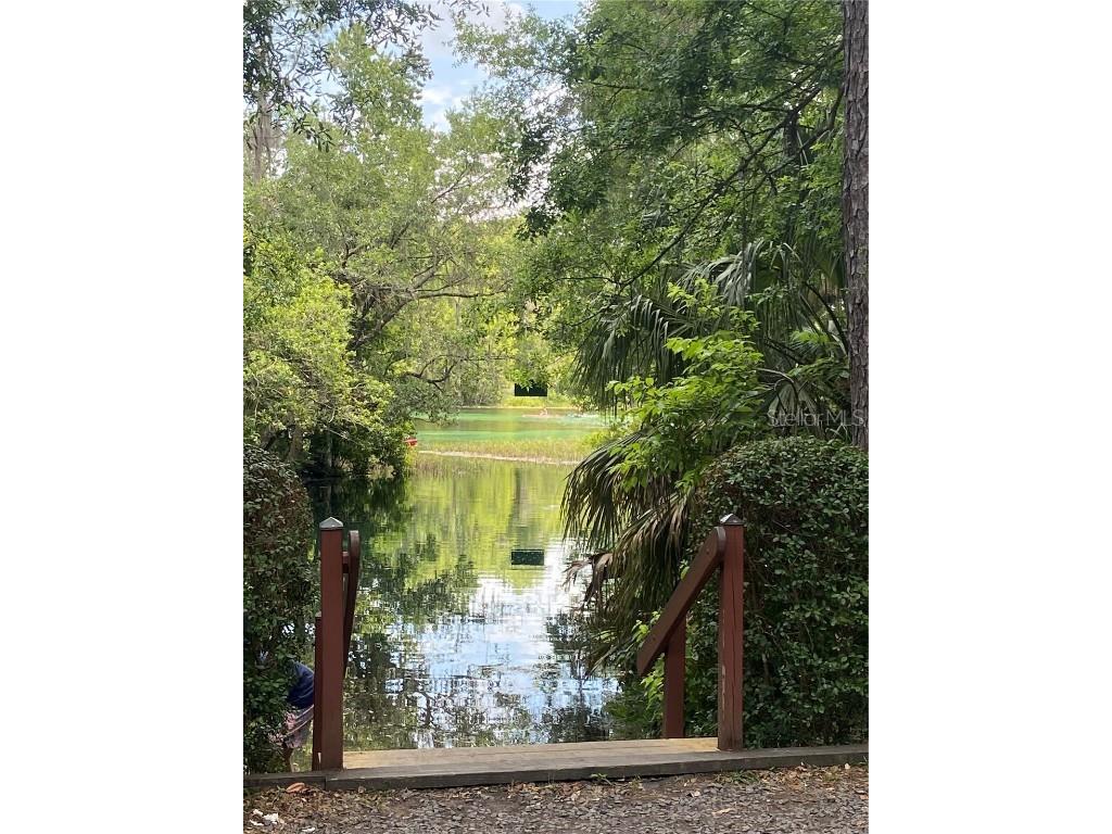 8780 SW 209 Court Road Dunnellon FL 34431 - RAINBOW SPRINGS RIVER OM712531 image30