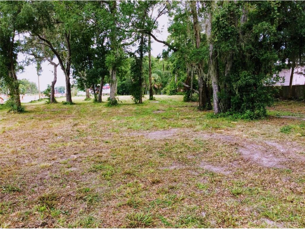 8780 W Kingston Drive Homosassa FL 34448 TB8420186 image3