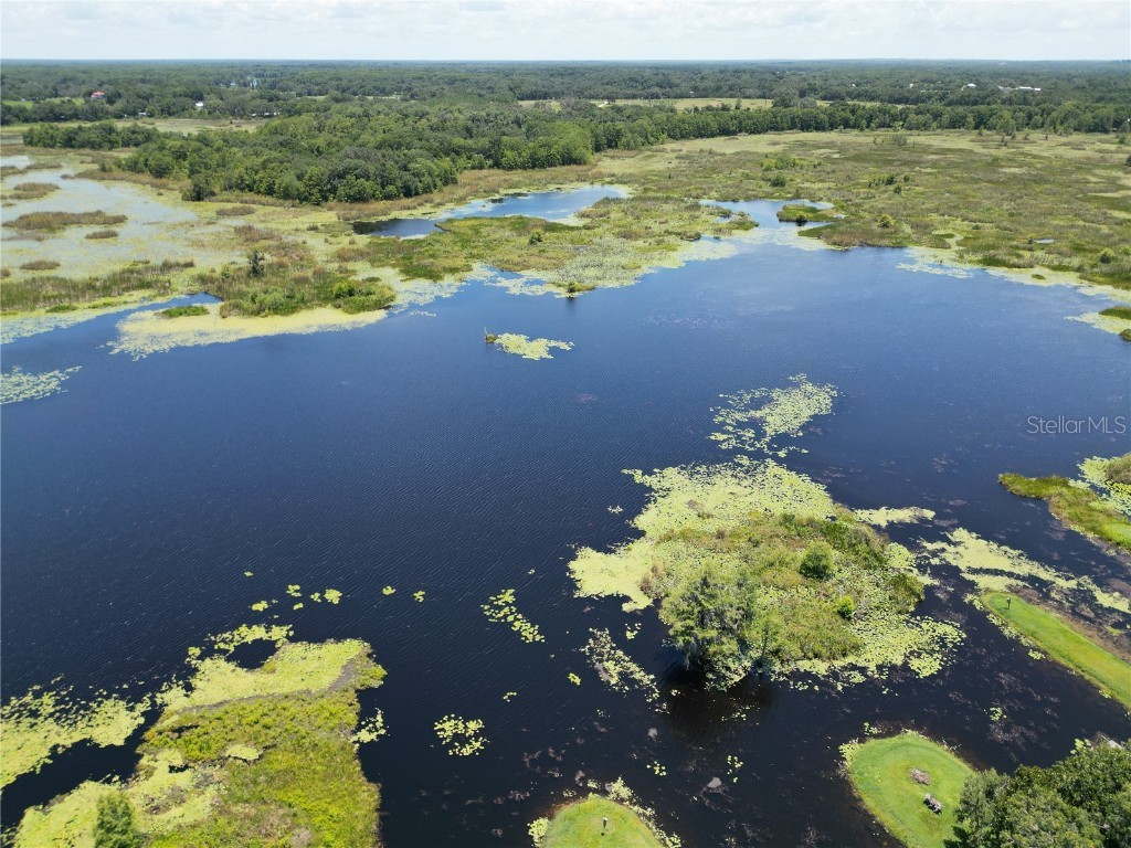 8781 S Lakeshore Drive Floral City FL 34436 A4659814 image18