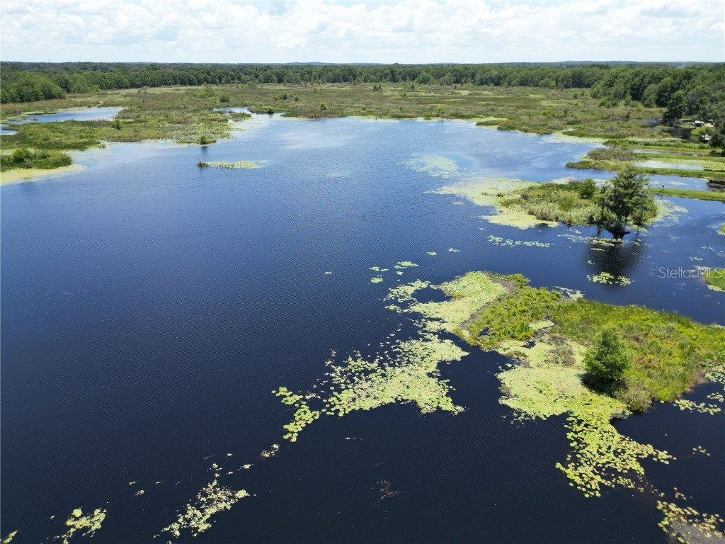 8781 S Lakeshore Drive Floral City FL 34436 A4659814 image2