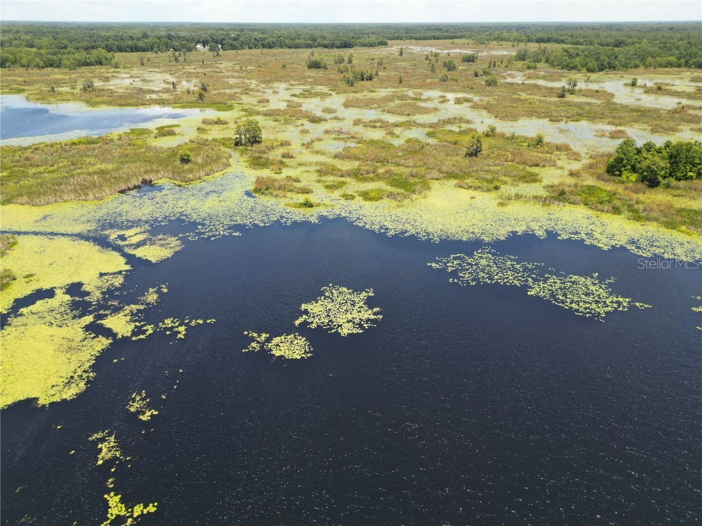 8781 S Lakeshore Drive Floral City FL 34436 A4659814 image20