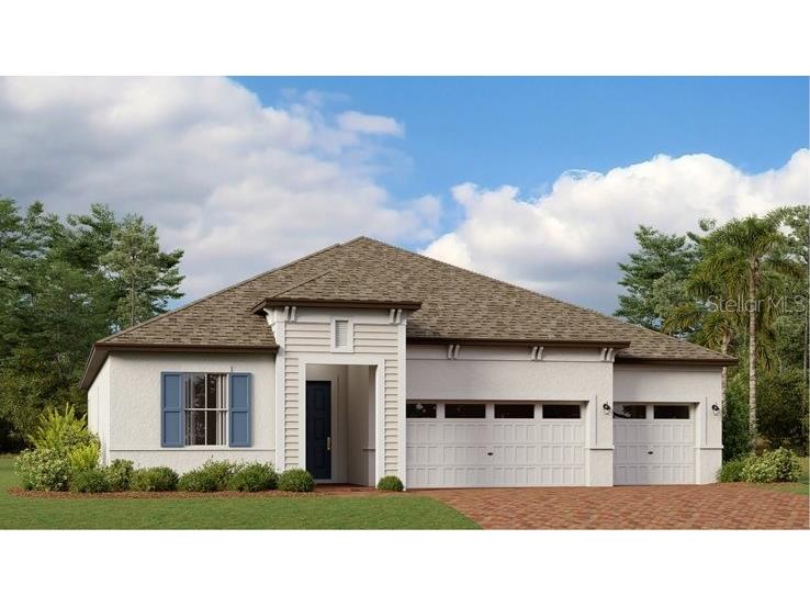 8782 Little Bluestem Drive Land O Lakes FL 34637 T3459735 image1