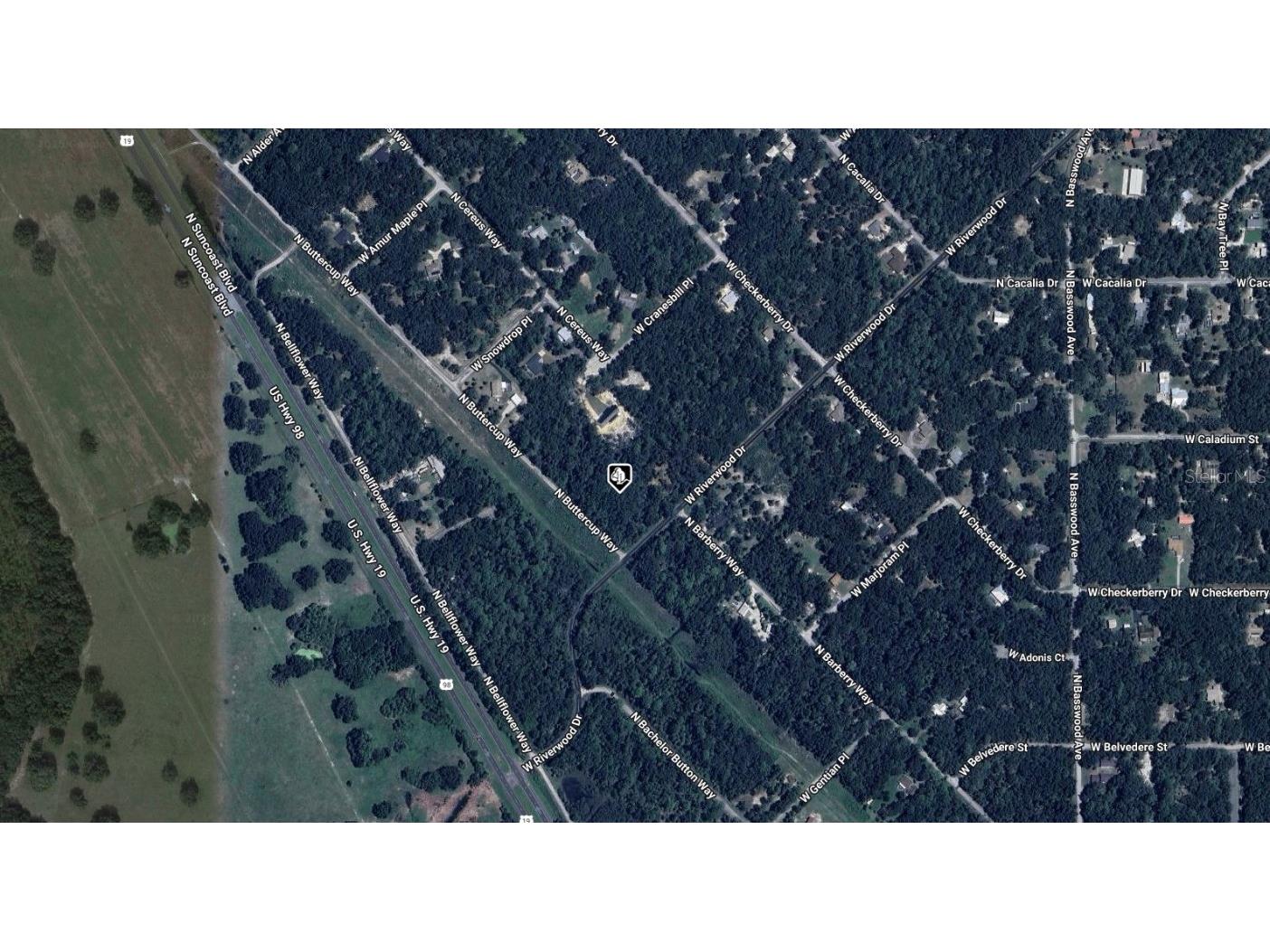 8783 N Buttercup Way Crystal River FL 34428 A4671153 image2