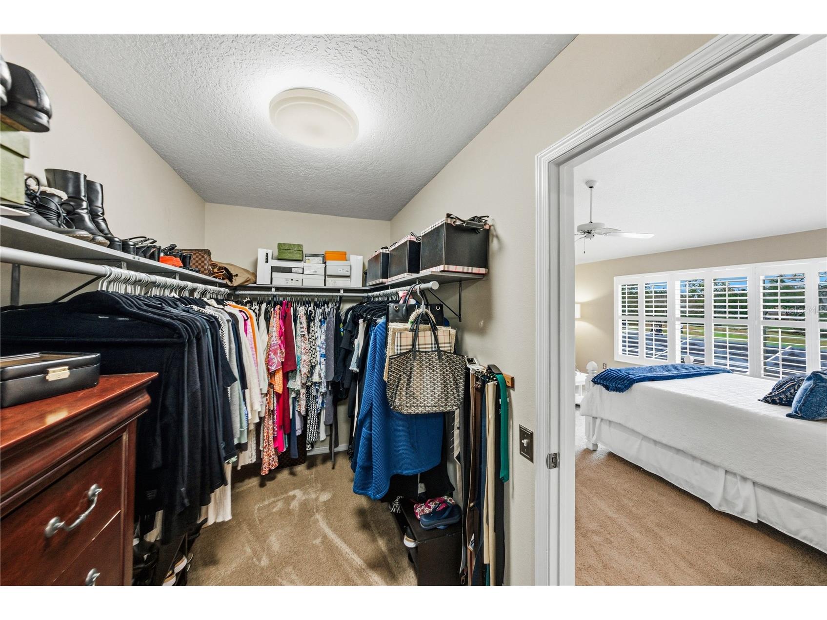 8785 Ashworth Drive Tampa FL 33647 TB8481180 image40