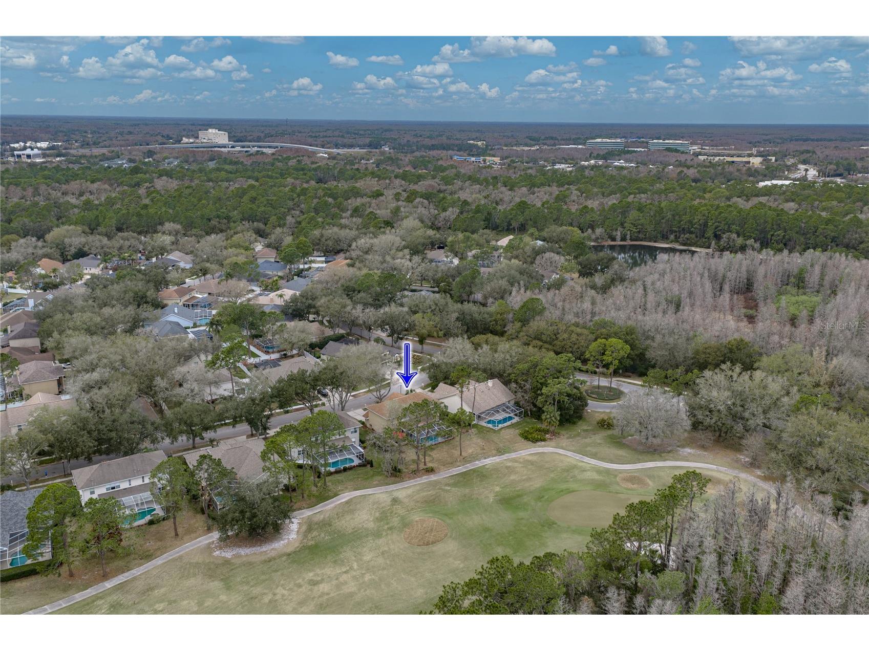 8785 Ashworth Drive Tampa FL 33647 TB8481180 image71