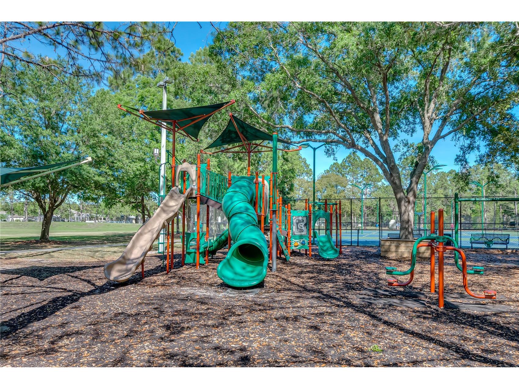 8785 Ashworth Drive Tampa FL 33647 TB8481180 image93