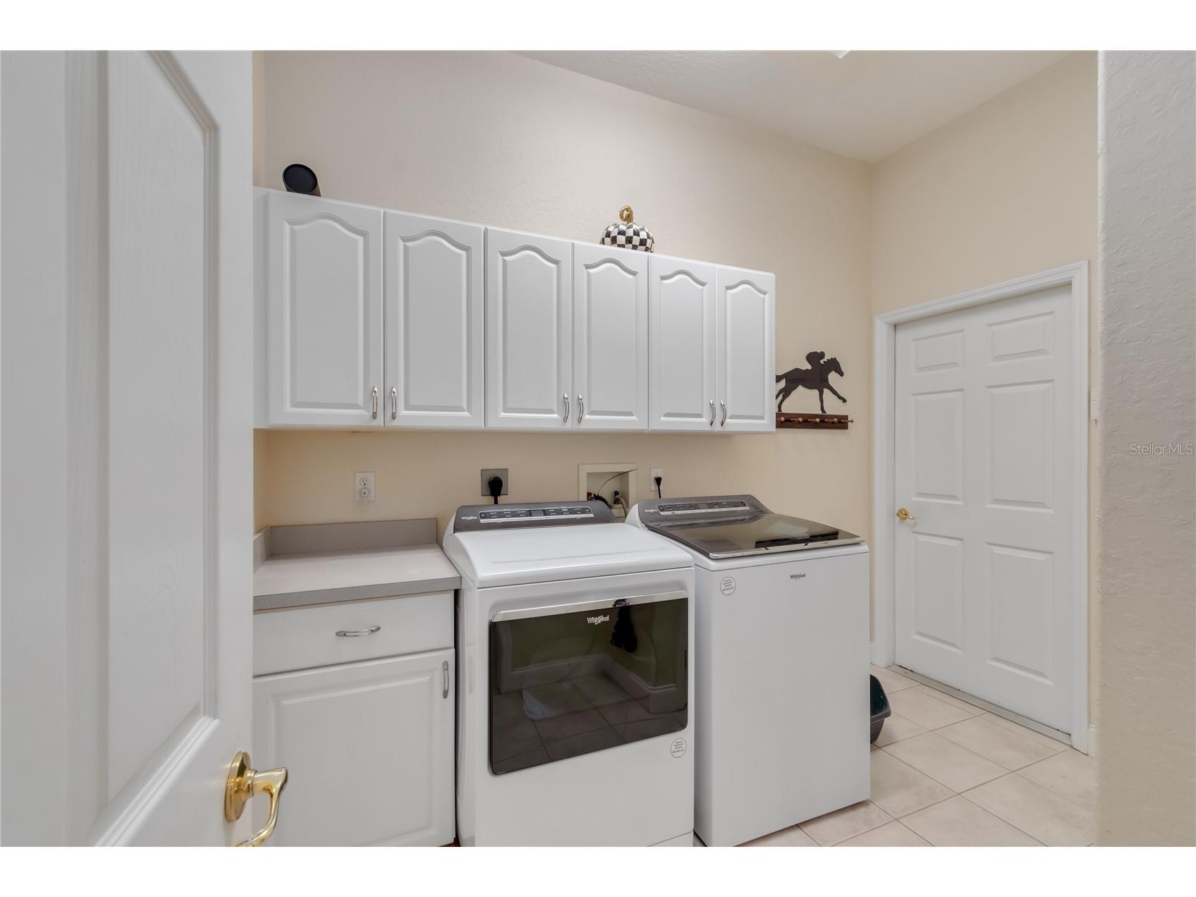 8785 NW 63rd Street Ocala FL 34482 OM719570 image48