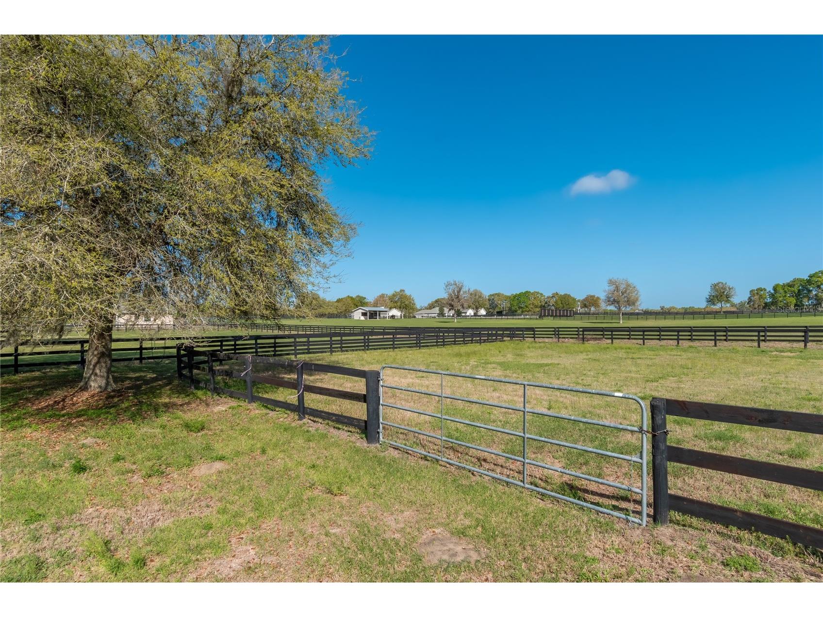 8785 NW 63rd Street Ocala FL 34482 OM719570 image79
