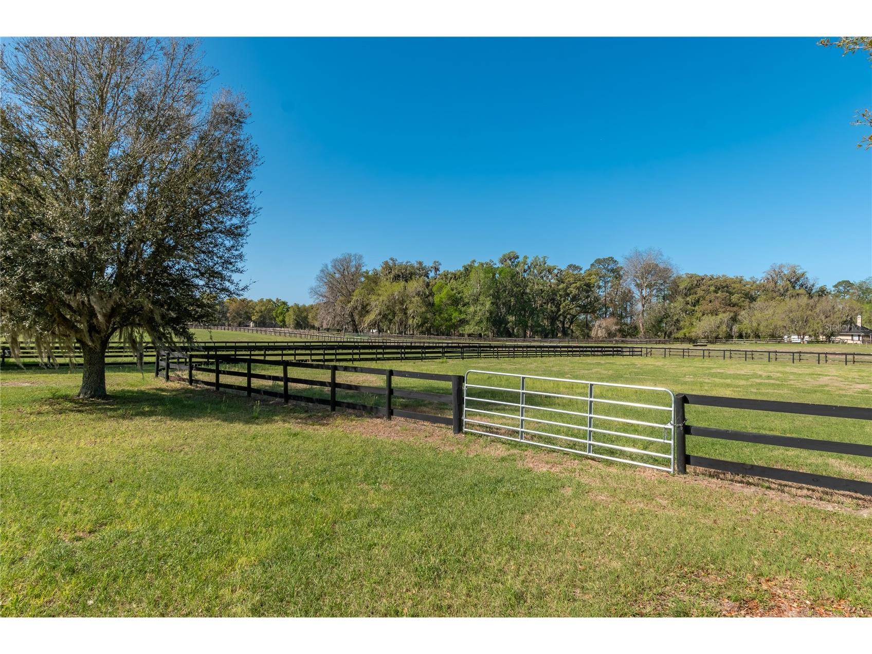 8785 NW 63rd Street Ocala FL 34482 OM719570 image80