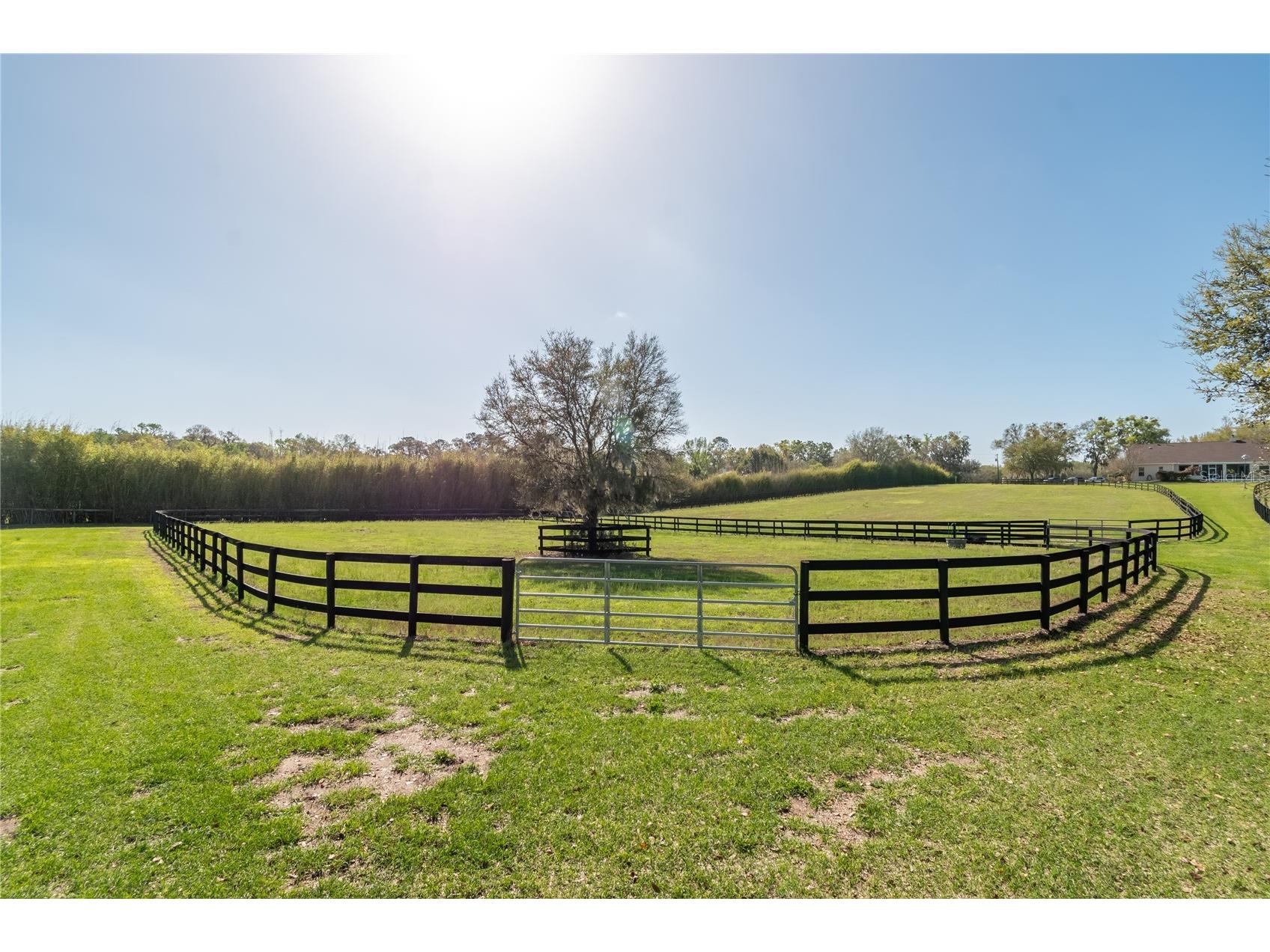 8785 NW 63rd Street Ocala FL 34482 OM719570 image81