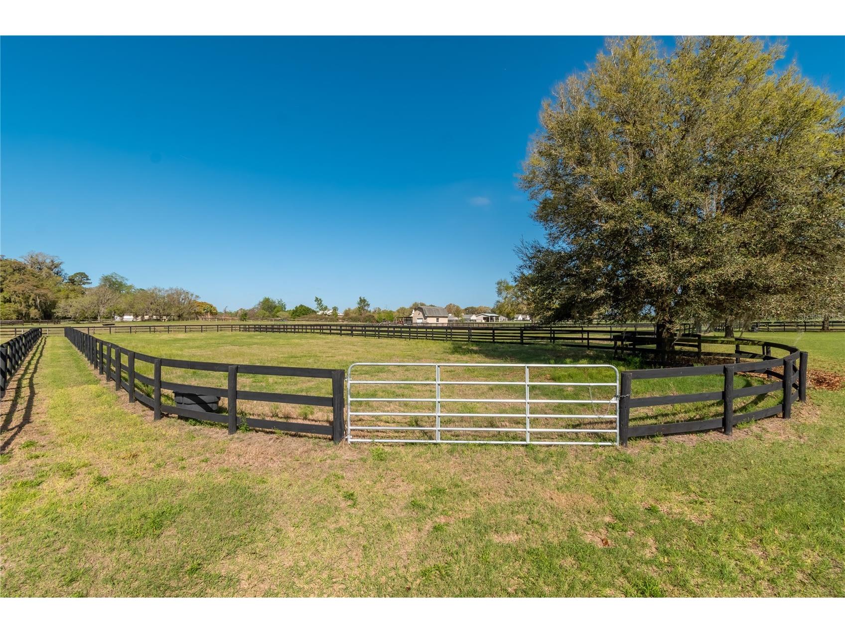 8785 NW 63rd Street Ocala FL 34482 OM719570 image82