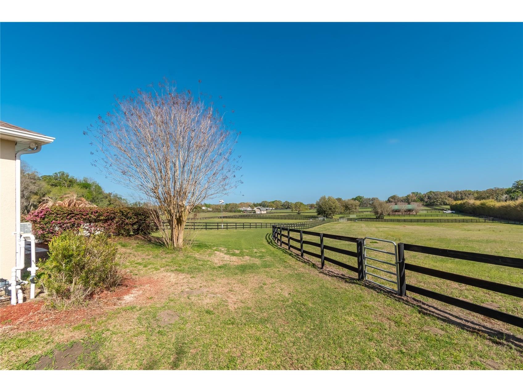 8785 NW 63rd Street Ocala FL 34482 OM719570 image85