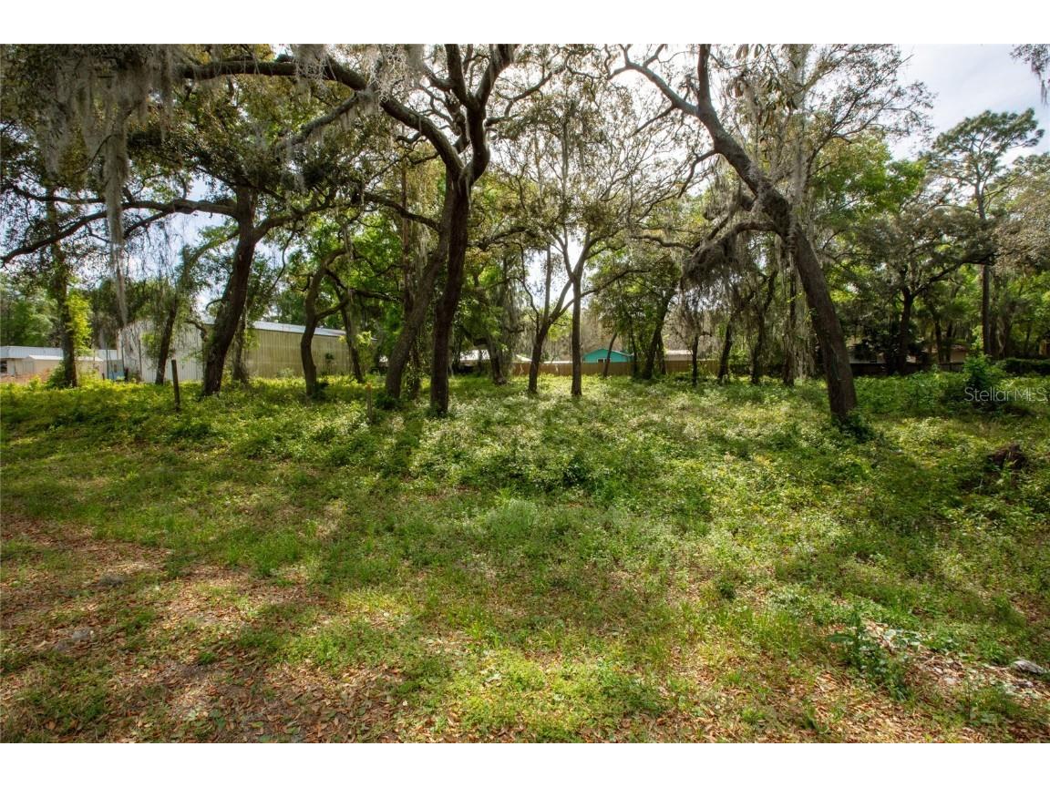 8786 & 8782 State Road 21 Melrose FL 32666 GC529682 image14