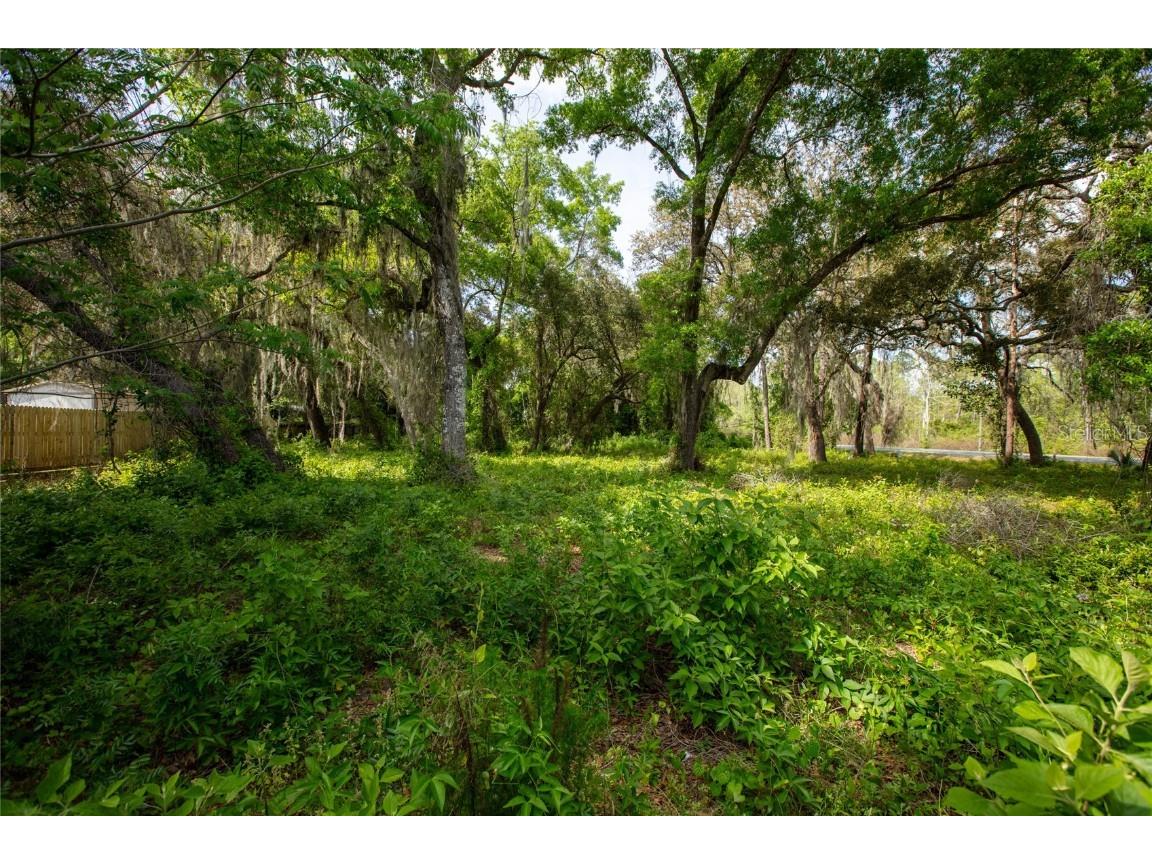 8786 & 8782 State Road 21 Melrose FL 32666 GC529682 image21