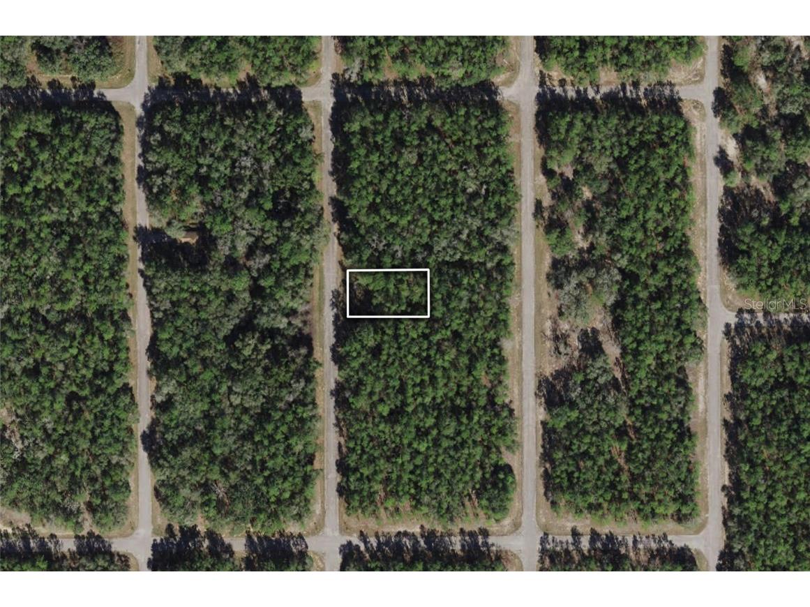 8787 N Sawyer Terrace Citrus Springs FL 34434 OM651964 image1