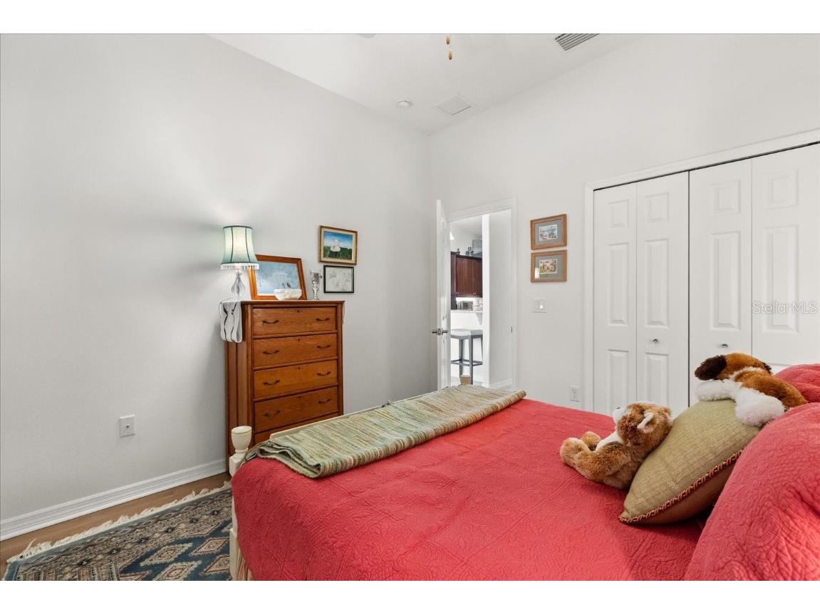 8788 Bridgeport Bay Circle Mount Dora FL 32757 G5102775 image19