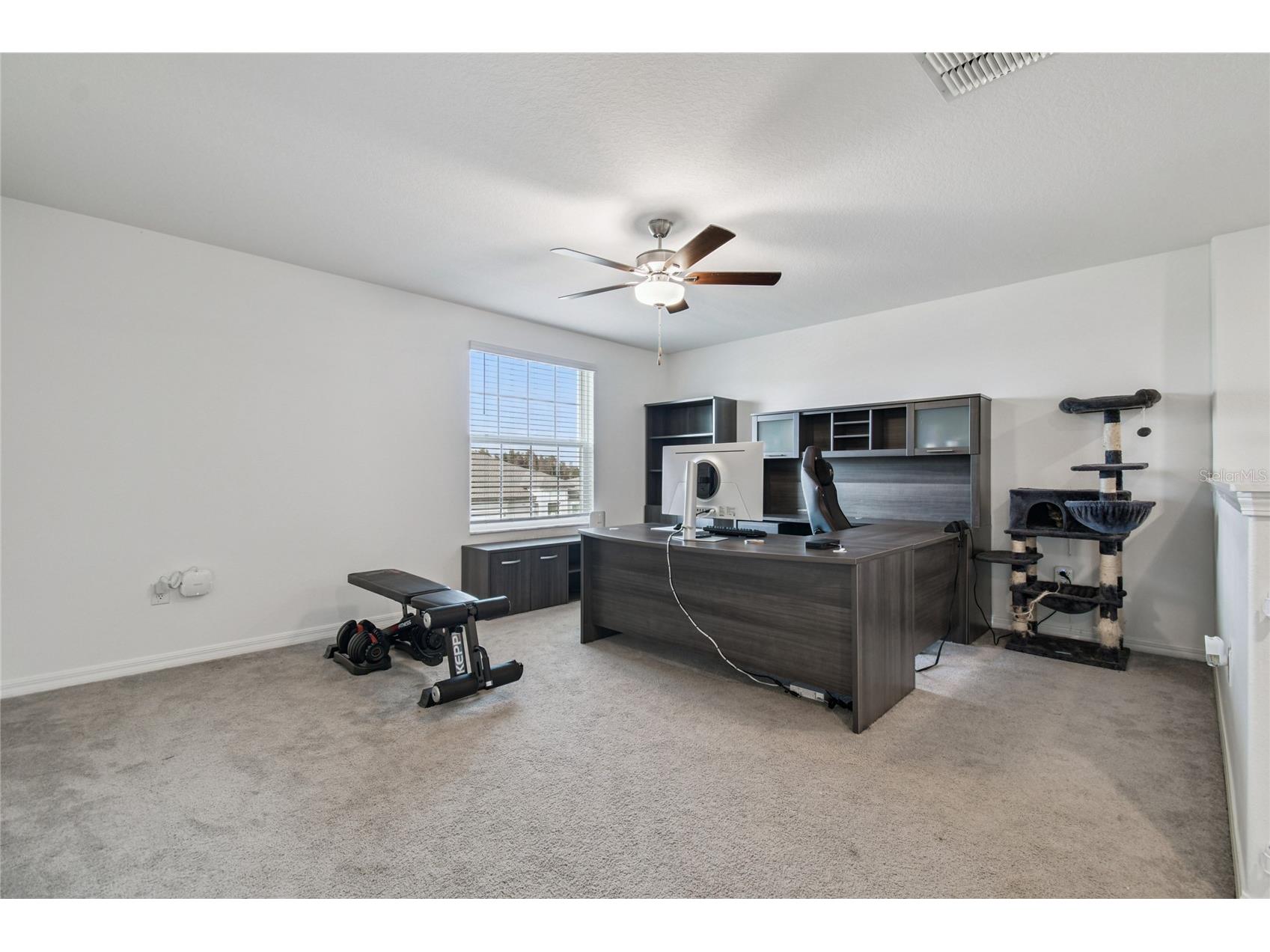 8789 Little Bluestem Drive Land O Lakes FL 34637 TB8451909 image16