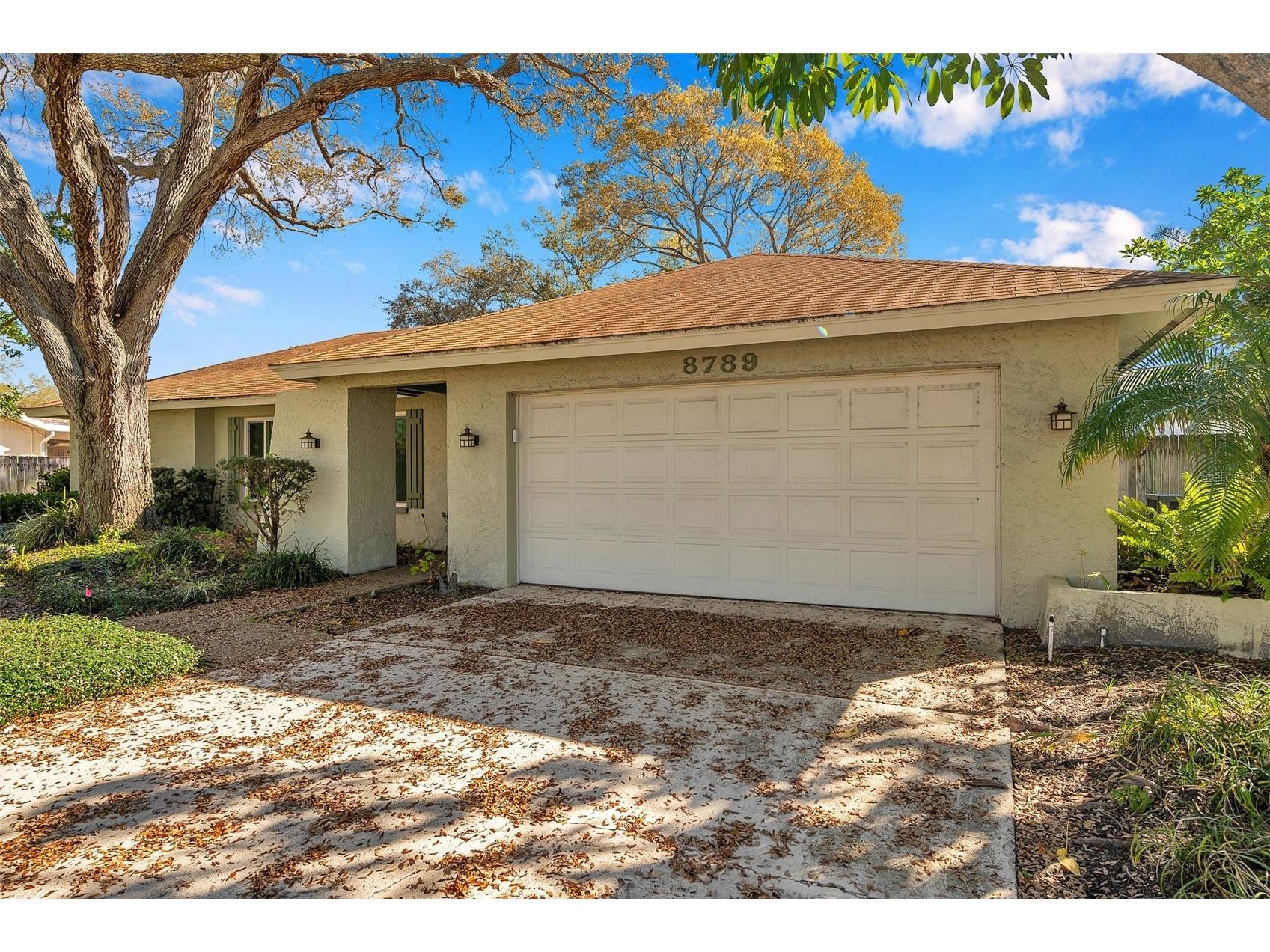 8789 Maplewood Road Seminole FL 33777 TB8497749 image1