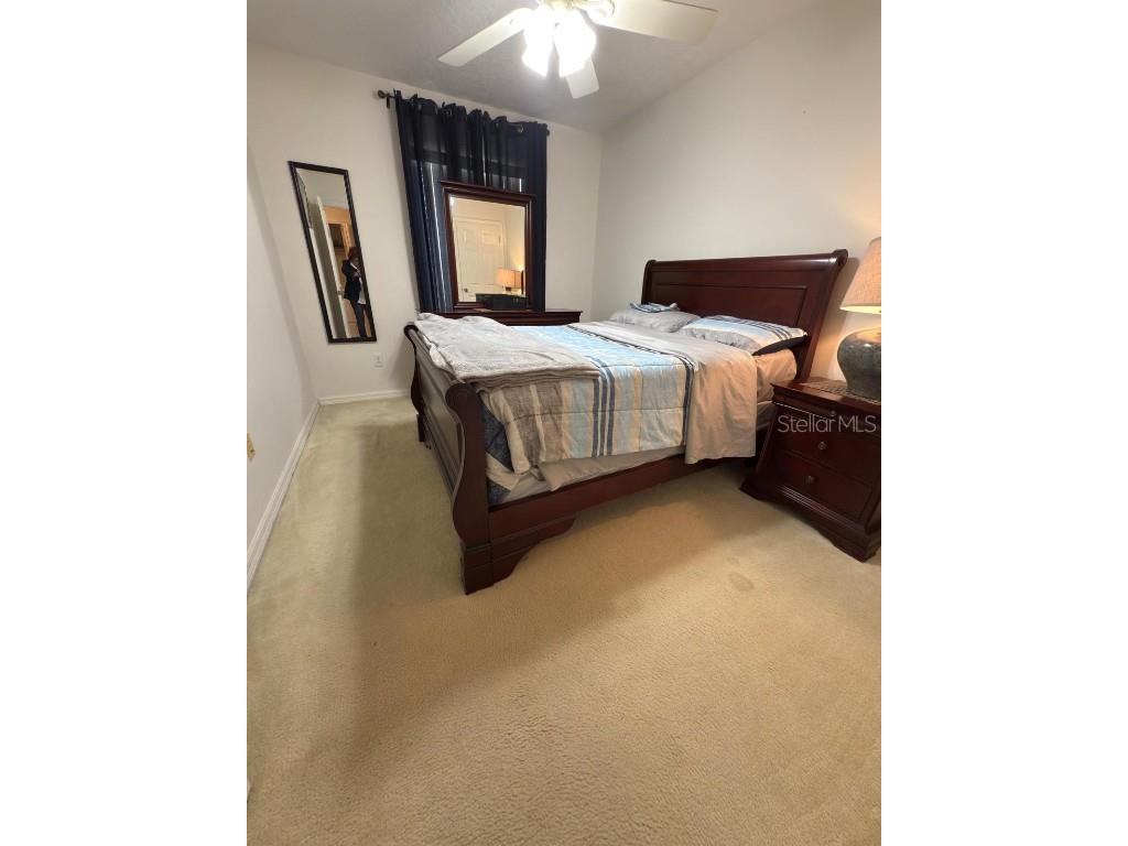 879 Assembly Court Court Reunion FL 34747 S5132984 image29