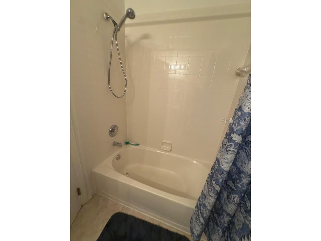 879 Assembly Court Court Reunion FL 34747 S5132984 image43