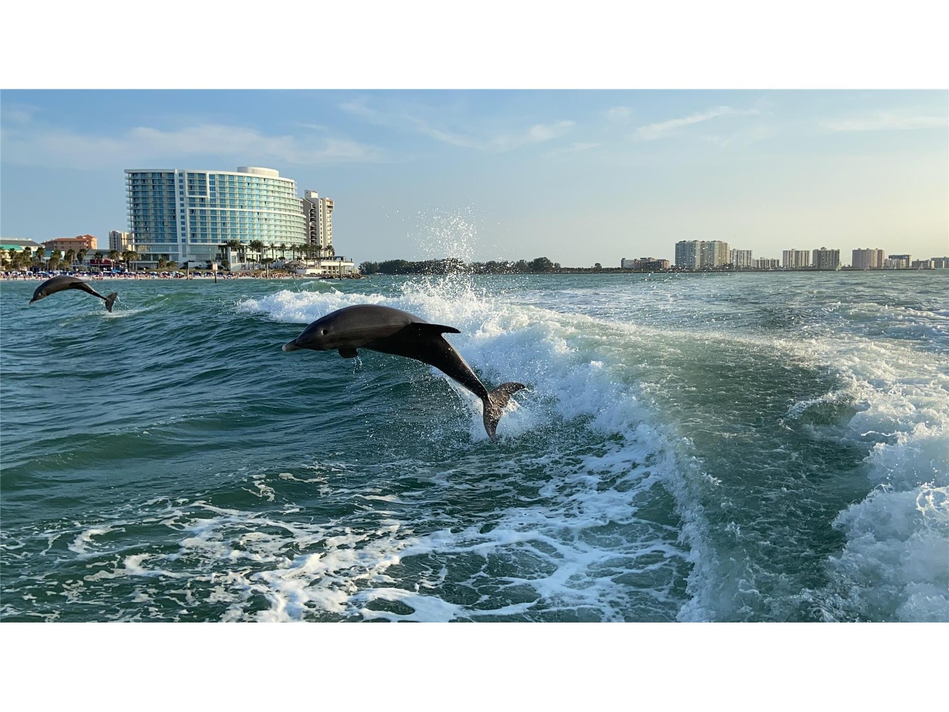 879 Eldorado Avenue Clearwater Beach FL 33767 TB8474490 image66