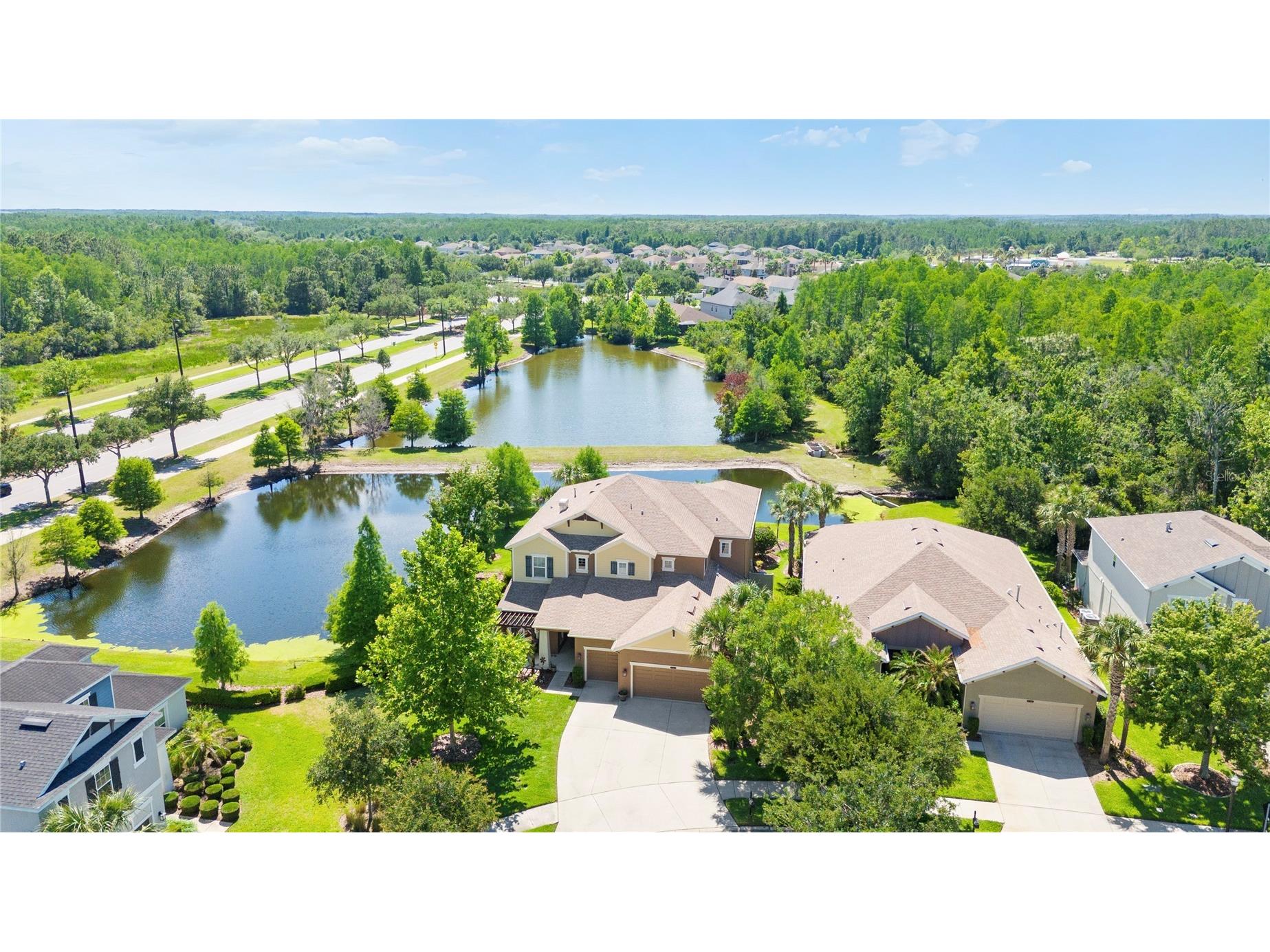 8791 Bella Vita Circle Land O Lakes FL 34637 TB8508259 image3
