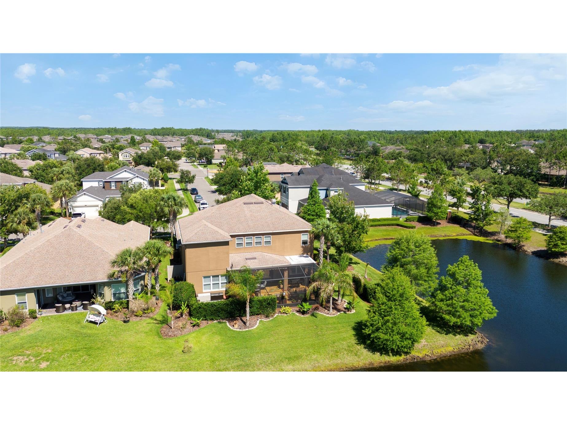 8791 Bella Vita Circle Land O Lakes FL 34637 TB8508259 image4