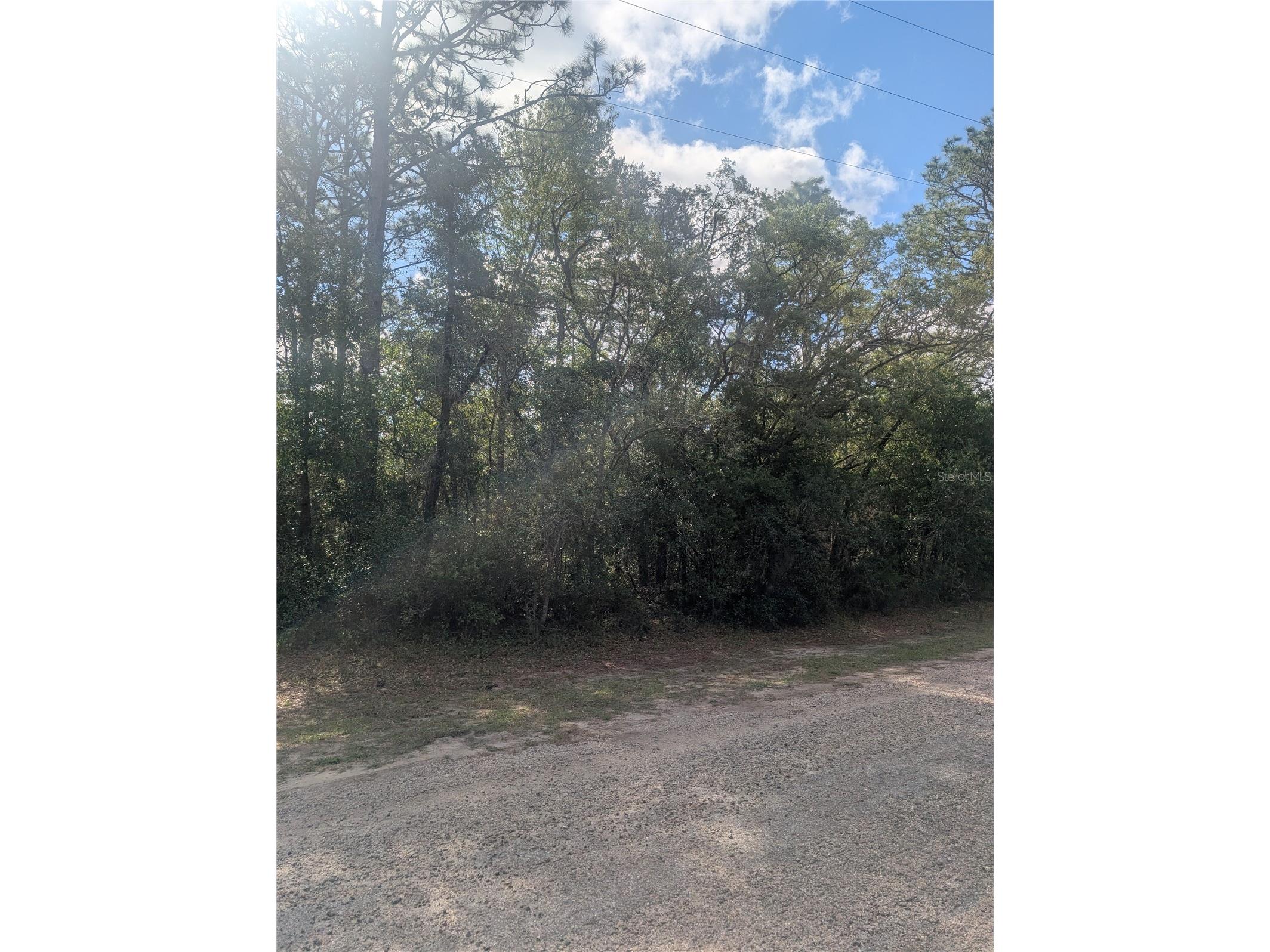 8791 N Folland Drive Dunnellon FL 34433 OM725206 image1