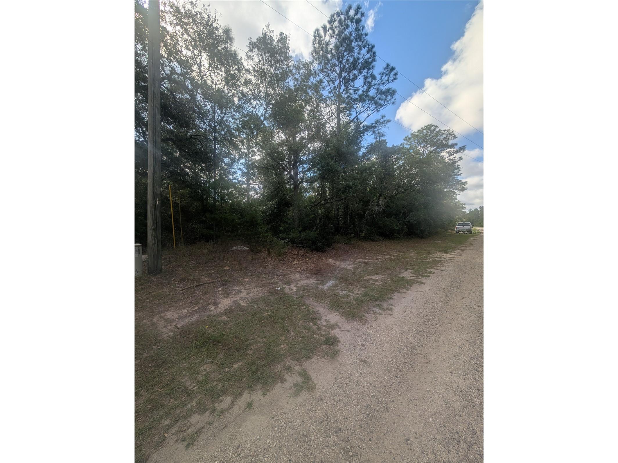 8791 N Folland Drive Dunnellon FL 34433 OM725206 image10