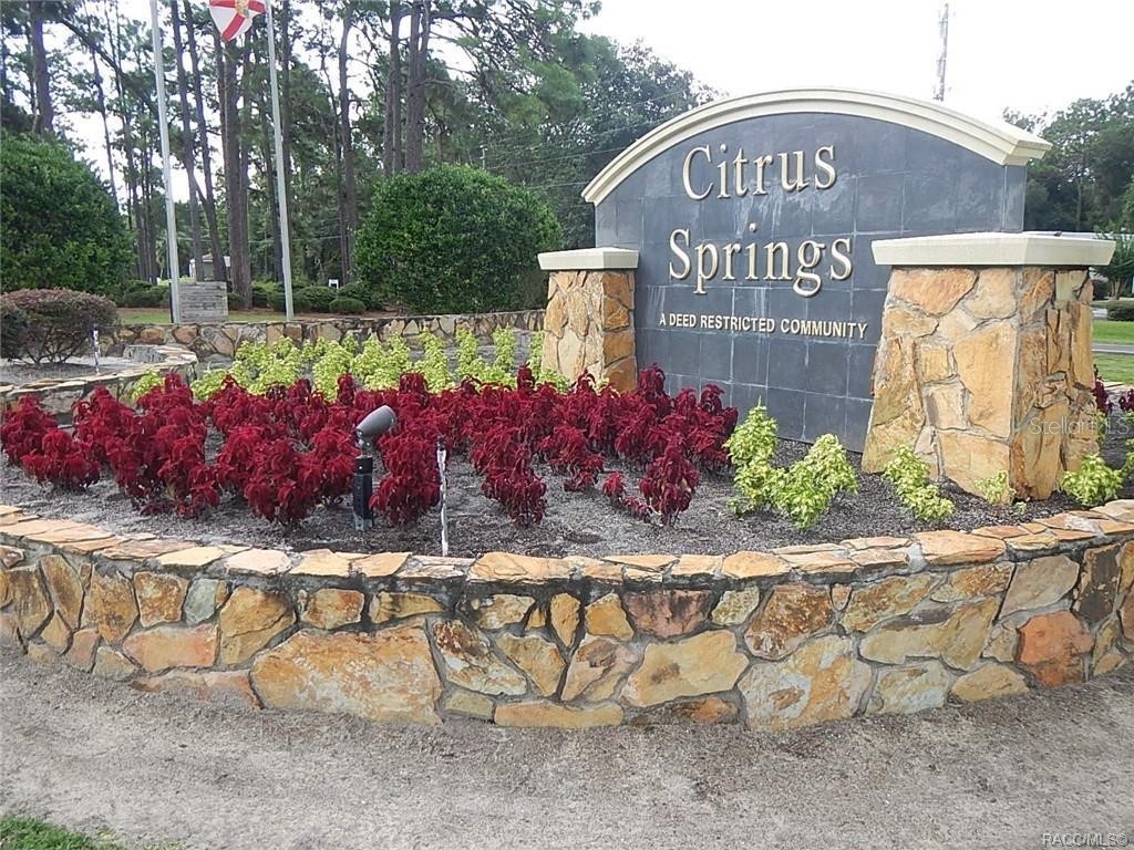 8791 N Folland Drive Dunnellon FL 34433 OM725206 image2