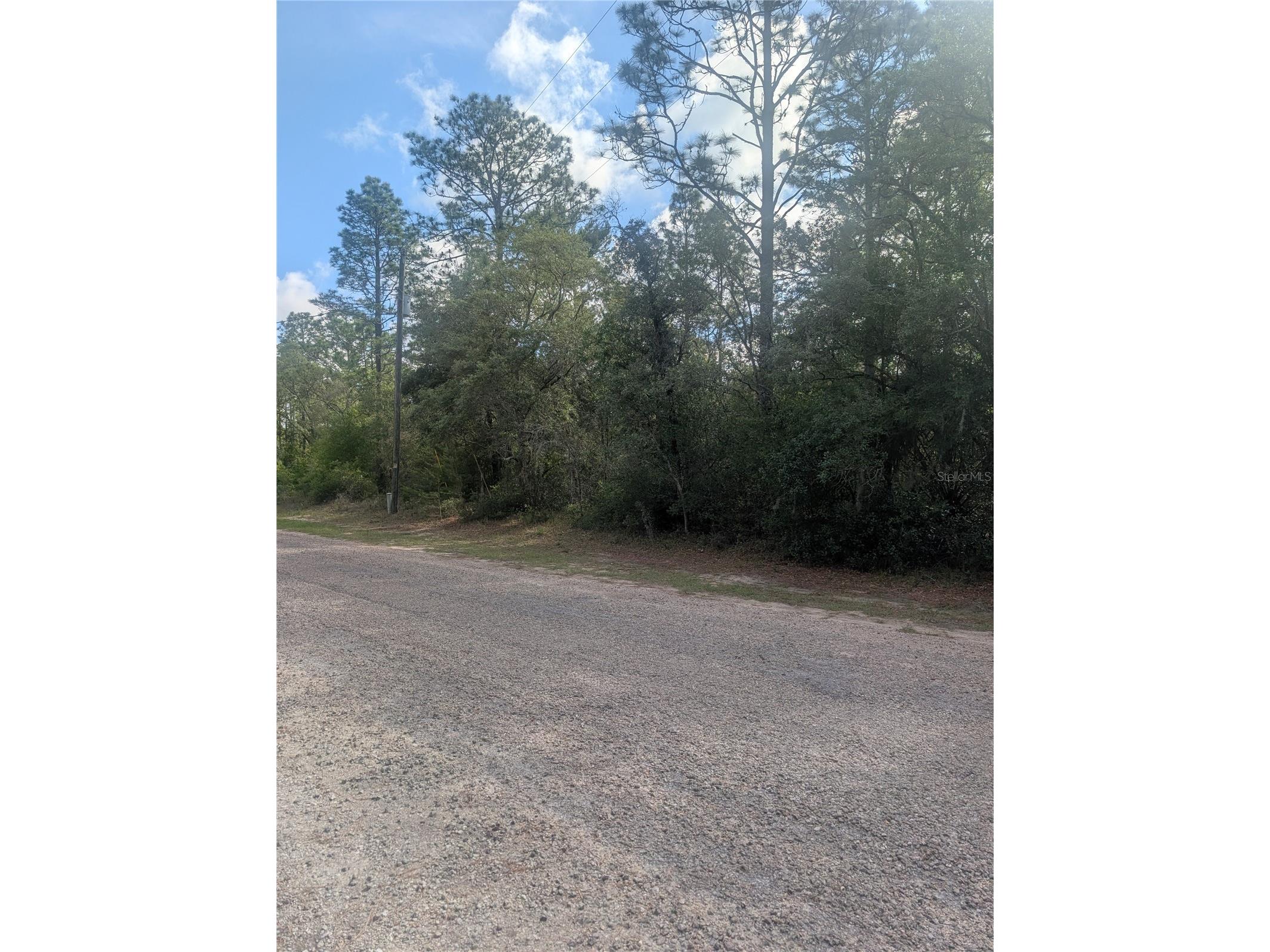 8791 N Folland Drive Dunnellon FL 34433 OM725206 image4