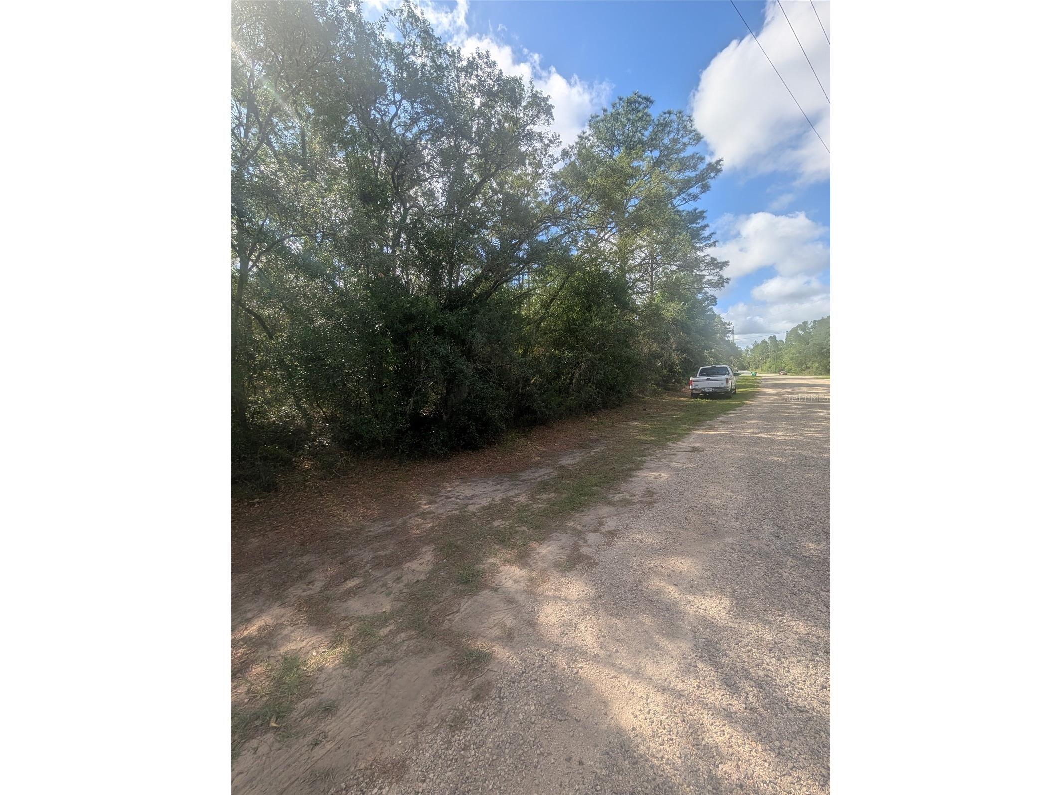 8791 N Folland Drive Dunnellon FL 34433 OM725206 image5
