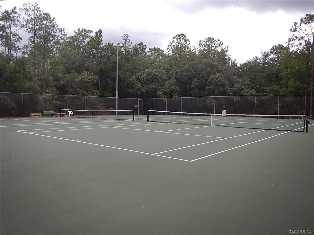 8791 N Folland Drive Dunnellon FL 34433 OM725206 image7