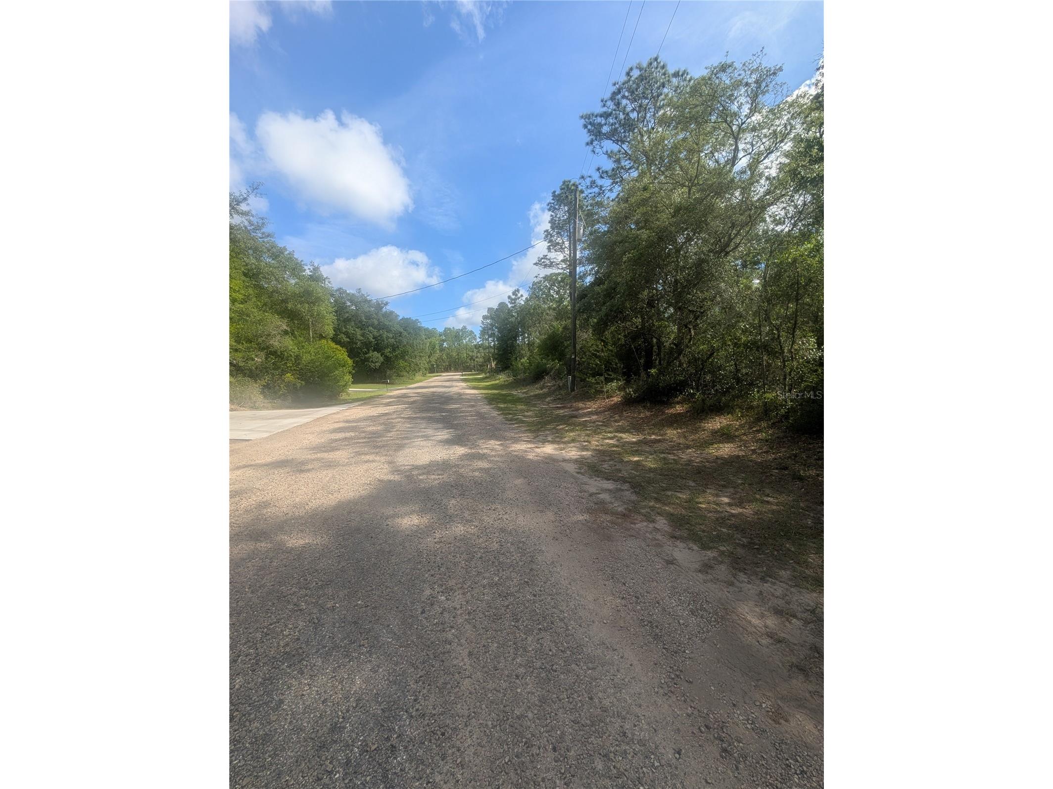 8791 N Folland Drive Dunnellon FL 34433 OM725206 image9