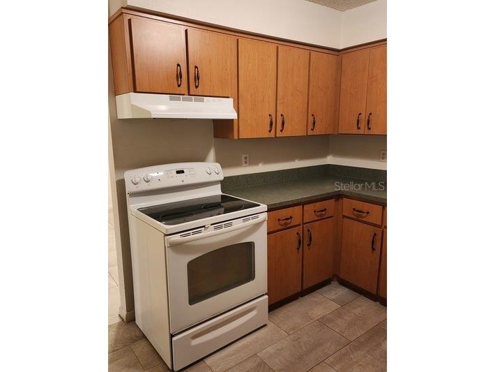 8791 SE 88th Avenue Ocala FL 34472 OM706573 image9