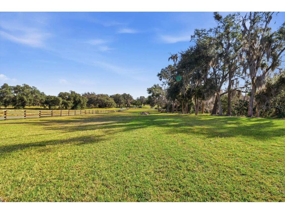 8792 S Steed Terrace Floral City FL 34436 OM715134 image10