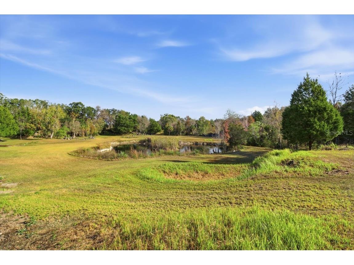 8792 S Steed Terrace Floral City FL 34436 OM715134 image11